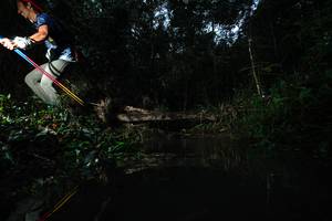 BIB: 
                            <button type="button" onclick="openModal(22464093)" class="btn btn-primary btn-sm float-right btn-popup" data-toggle="modal" data-target=".modal-high-quality">
                        <i class="fas fa-shopping-cart"></i> Add to Cart
                    </button>
                                            <button type="button" onclick="isThisMe(22464093, true)" class="btn btn-success btn-sm float-right btn-popup btn-isme hidden" data-toggle="tooltip" data-placement="bottom" title="นี่คือรูปของคุณใช่ไหม คลิกที่นี่เพื่อเอาเข้าอัลบั้ม">
                        <i class="fas fa-plus"></i> Add to album
                    </button>
                    <button type="button" onclick="isThisMe(22464093, false)" class="btn btn-warning btn-sm float-right btn-popup btn-isnotme hidden">
                        <i class="fas fa-ban"></i> Remove from album
                    </button>